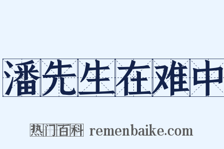 潘先生在难中是什么意思的图片